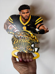 Custom Sport Hand Fan
